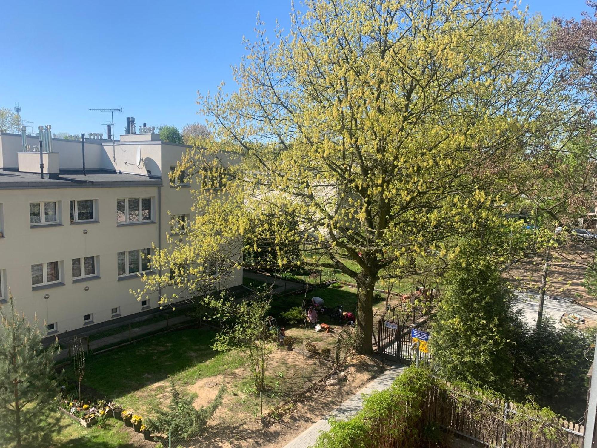 Apartament Samodzielne Wyposazone Mieszkanie